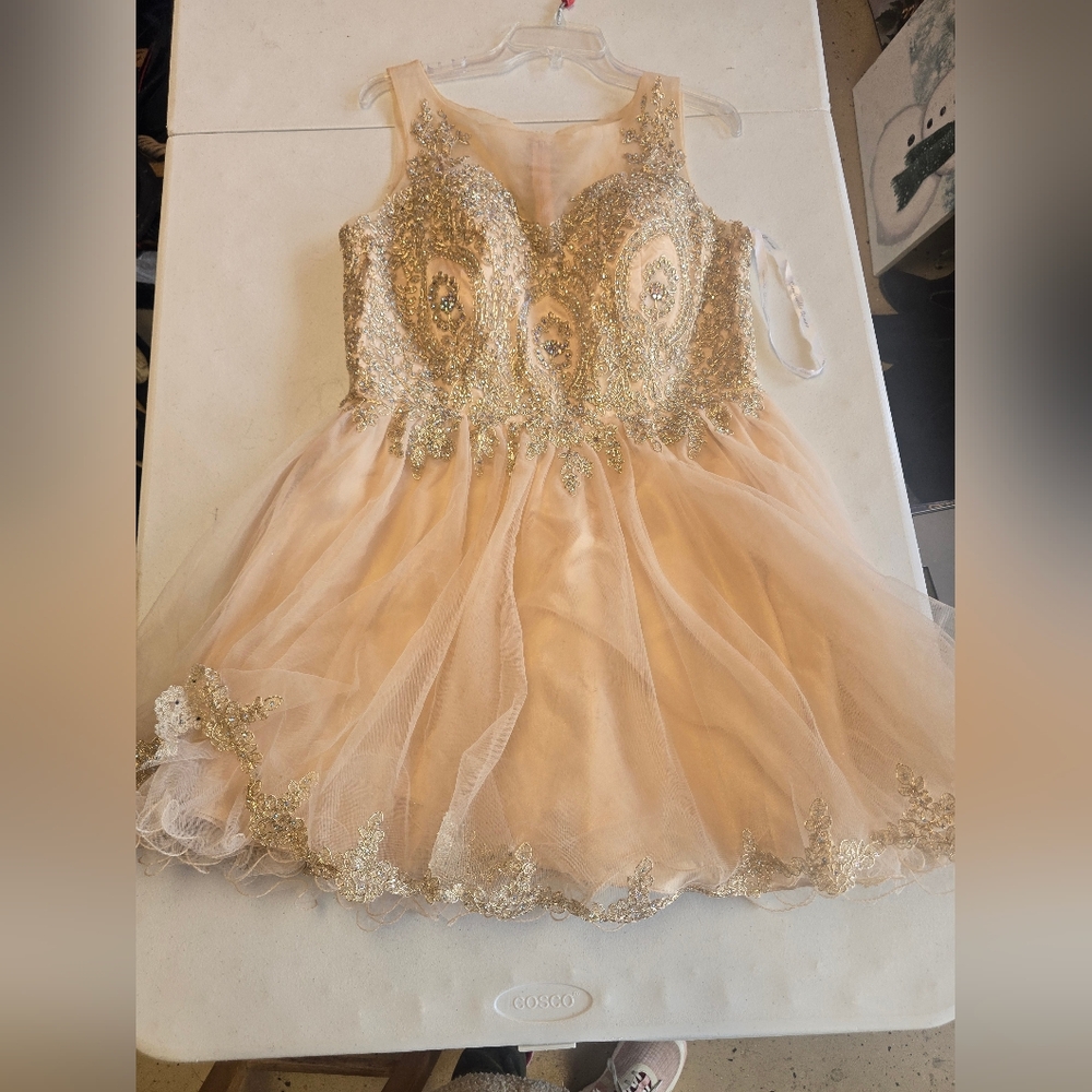 Gold and Cream Embellished Dress